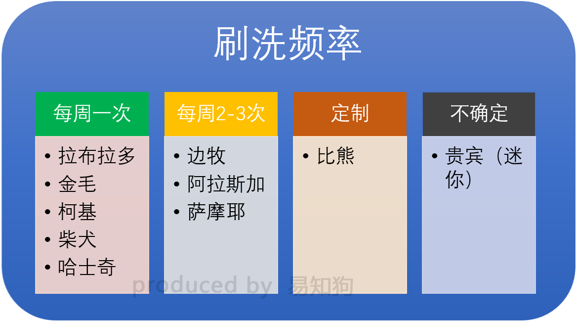 新手养狗必看：国内十大流行犬种横向对比