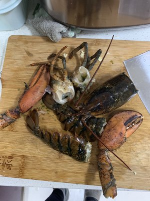 广东姜葱炒龙虾的做法（手把手教你如何烹饪炒姜葱龙虾）