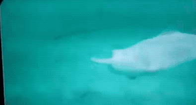 30张图看世界：越南女兵宿舍内叠被子，朝鲜阅兵的女兵方阵