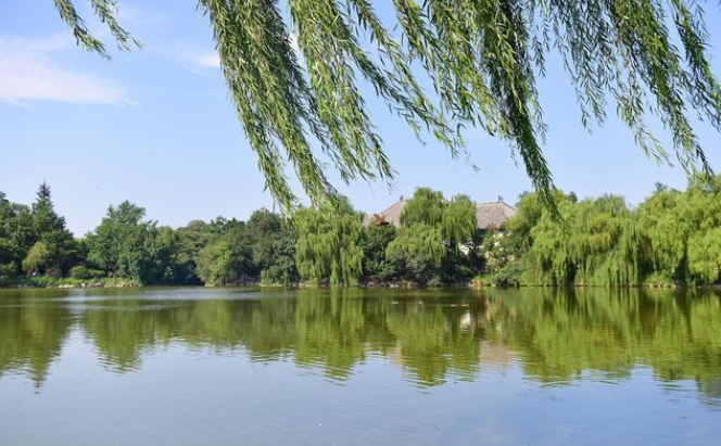 国家专项分数线来啦！河南这所高校分数线再创新高