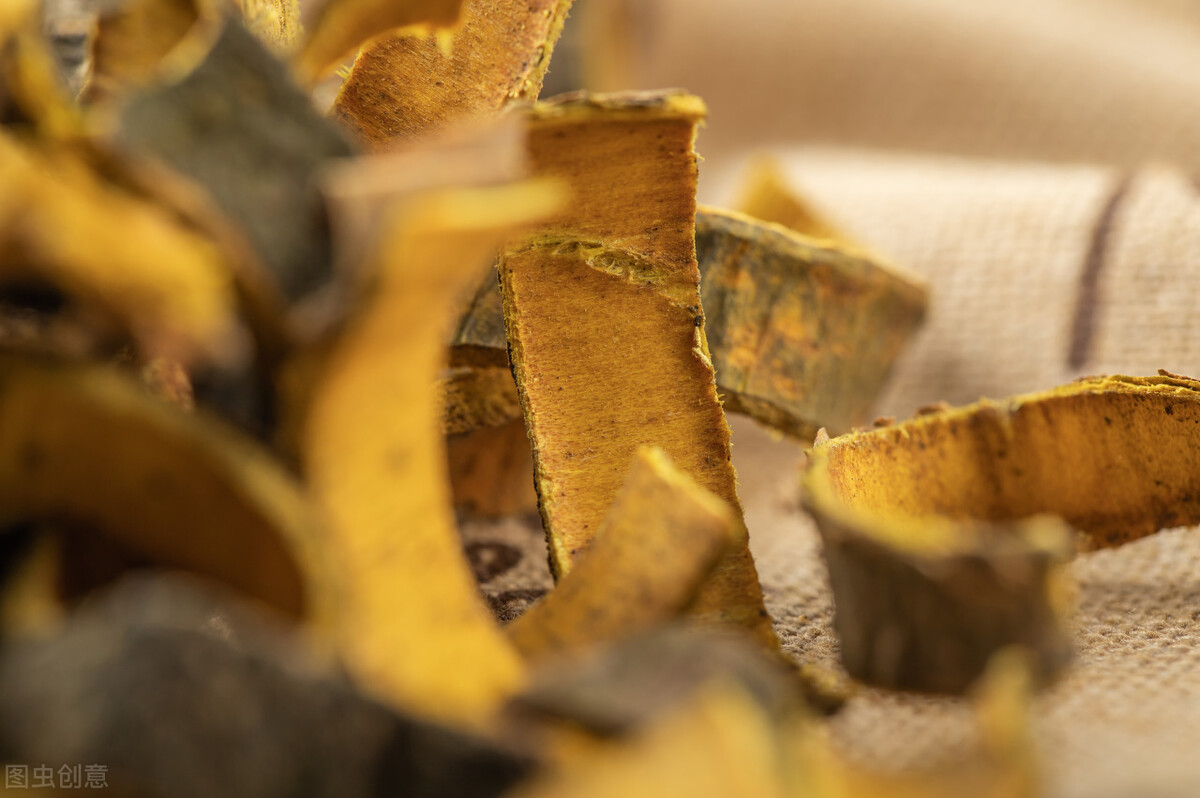 结缘中医科学院西苑医院陈可冀教授，中西医结合，使我行稳致远