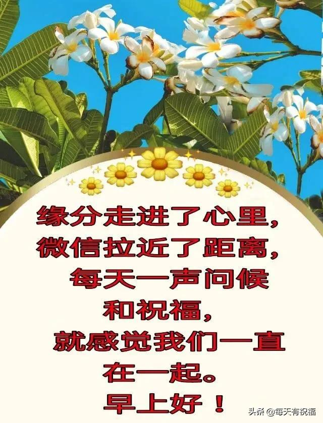 冬天高清早上好祝福问候亲人朋友图片带字 早安图片文字和祝福语
