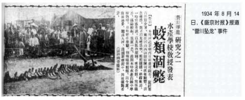 真龙降临东北轰动全国，老人意外得到5块龙骨，专家化验揭开真相