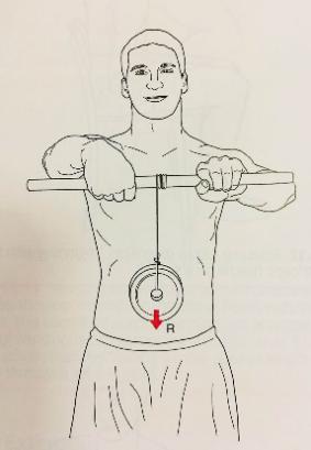 让榔头或哑铃帮助做前臂旋前(掌心向下),再做旋后(掌心向上),反复做20