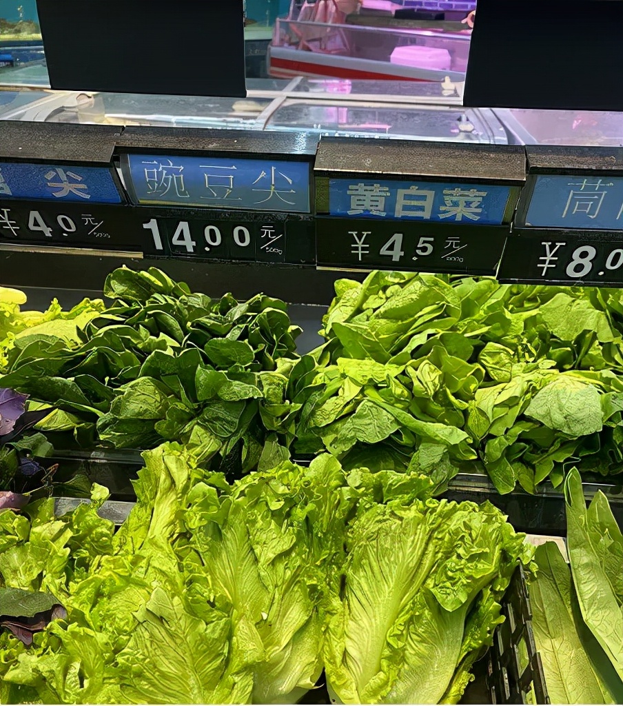 豌豆尖,豌豆尖的功效與作用