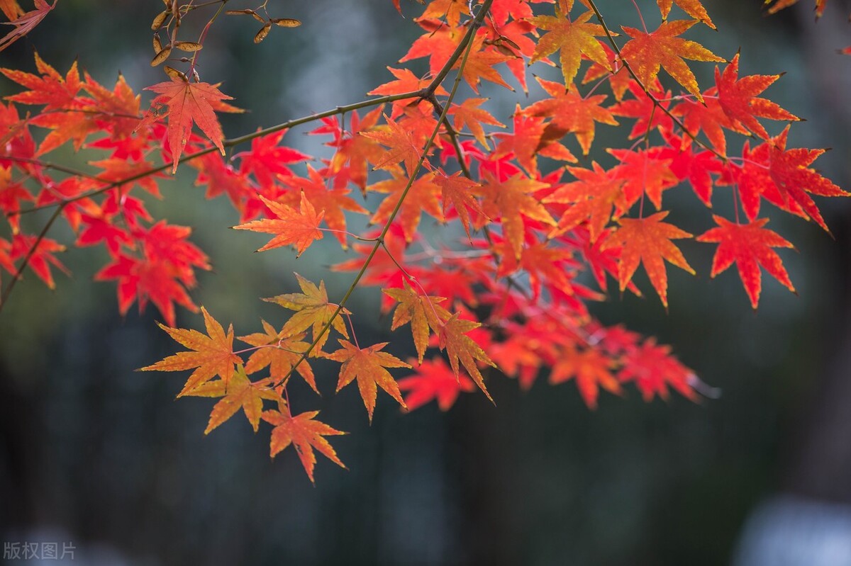 6個智慧金句，個個警醒世人，助你預防人性墮落