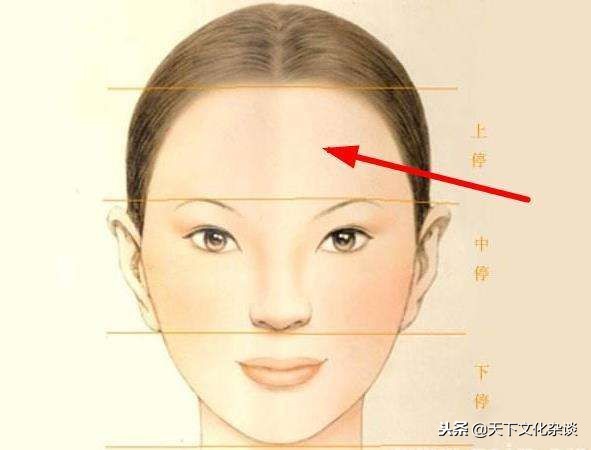 地阁方圆什么意思解读4种面相代表的含义