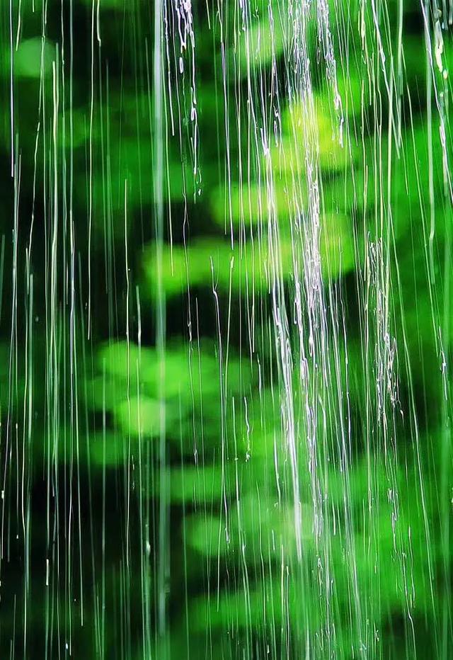 雨中,一湖的水泛起幸福的涟漪!