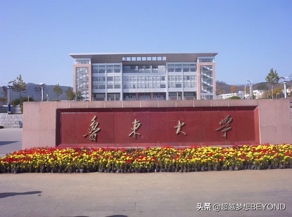 鲁东大学2020年山东省本科各专业录取分数统计（含排位）