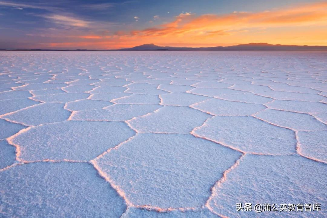 办学最怕灯下黑！学校自我评估需要一套管用的“新工具”