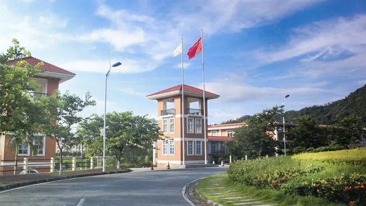 中山大学 近三年各批次录取分数统计，2019各专业录取分数