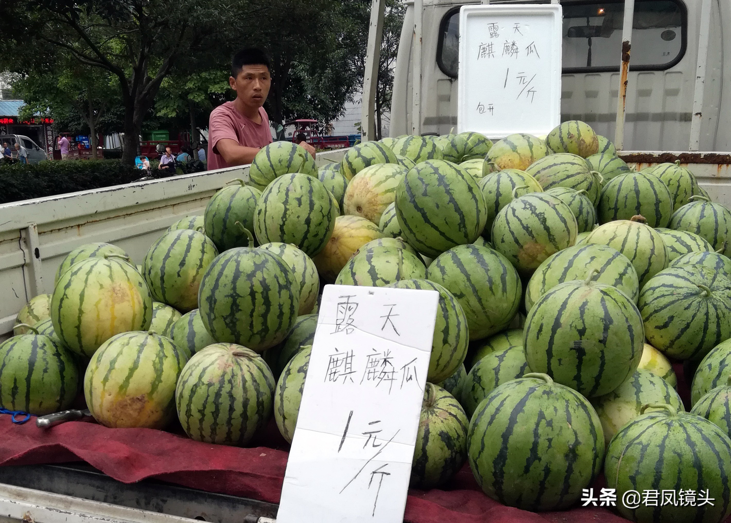 湖北宜昌：西瓜价格大跌 售价0.8-1.2元一斤