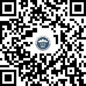 今年不看高考艺考成绩可以上的20所艺术专业本科院校