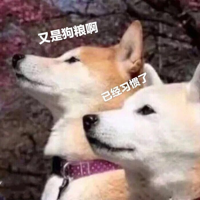 情人节最惨的事：红buff都有人撩，你却没人撩