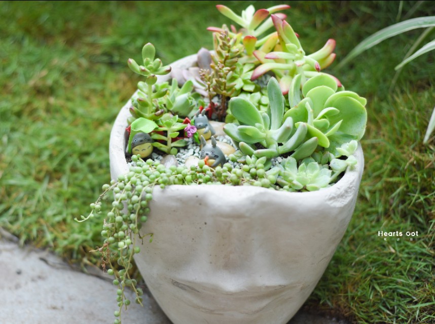 重庆花艺培训，众多精品全能花艺课程，总有一款适合你！