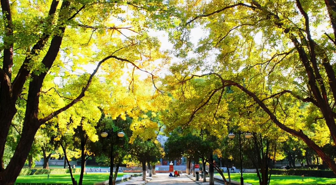 山东大学青岛校区建成后，威海校区将何去何从？