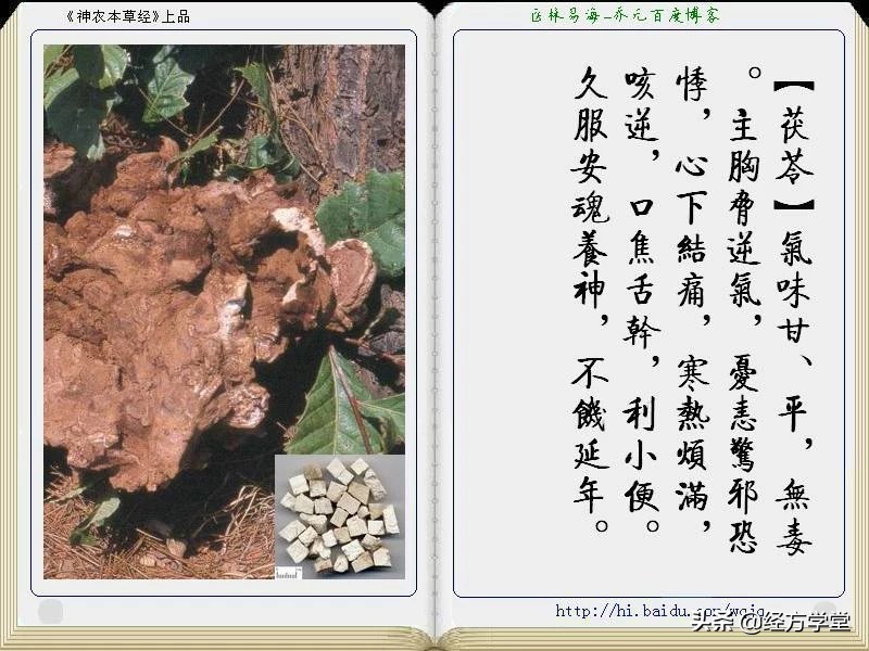 《神农本草经》全册图文解析 建议收藏