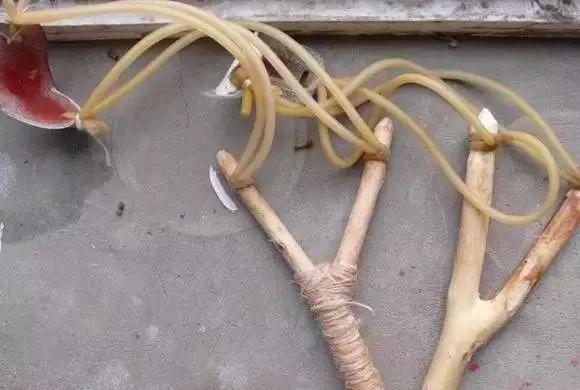 256~257~28~29~31~多么熟悉的声音火柴枪,制作水平够可以的吧搬拐,你