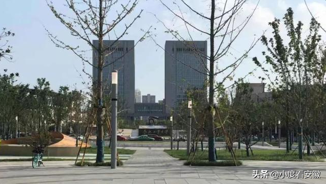 重磅！合肥第3座大学城来了！选址遭争议