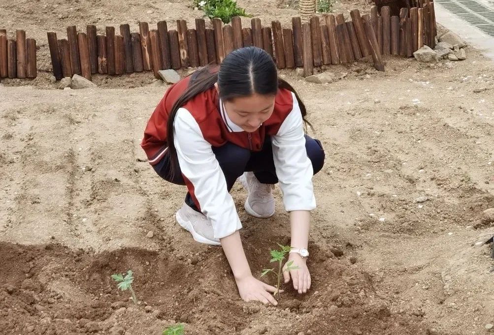 京郊这所学校，真真了不得