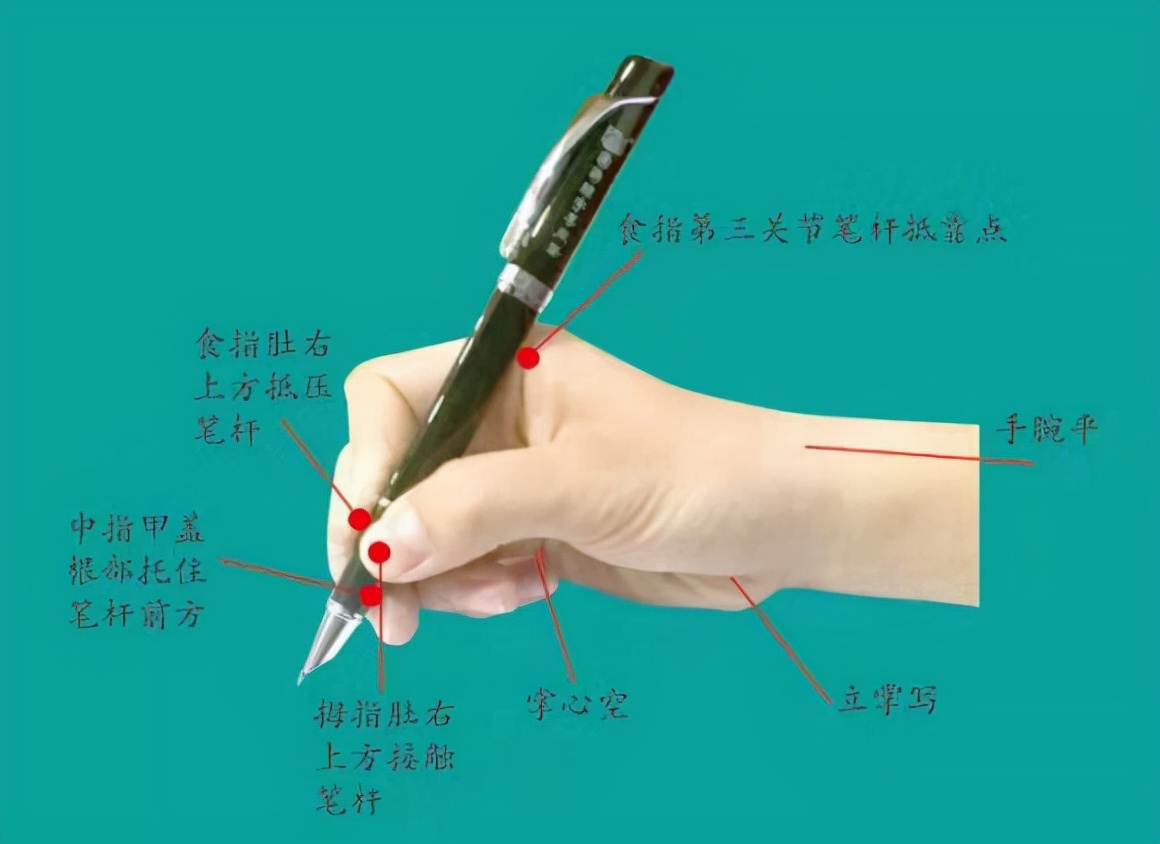 握笔的正确姿势 小学生正确的坐姿图-徐拾记官网