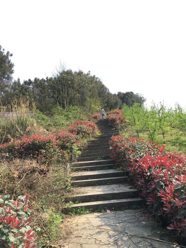 重庆沙坪坝近郊最佳半日游之“重庆小九寨”虎峰山游记