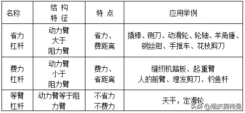 滑轮、杠杆重要考点解析