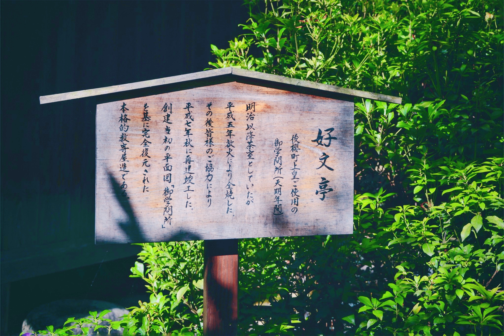 外国街头的“中文标语”，让人笑岔气