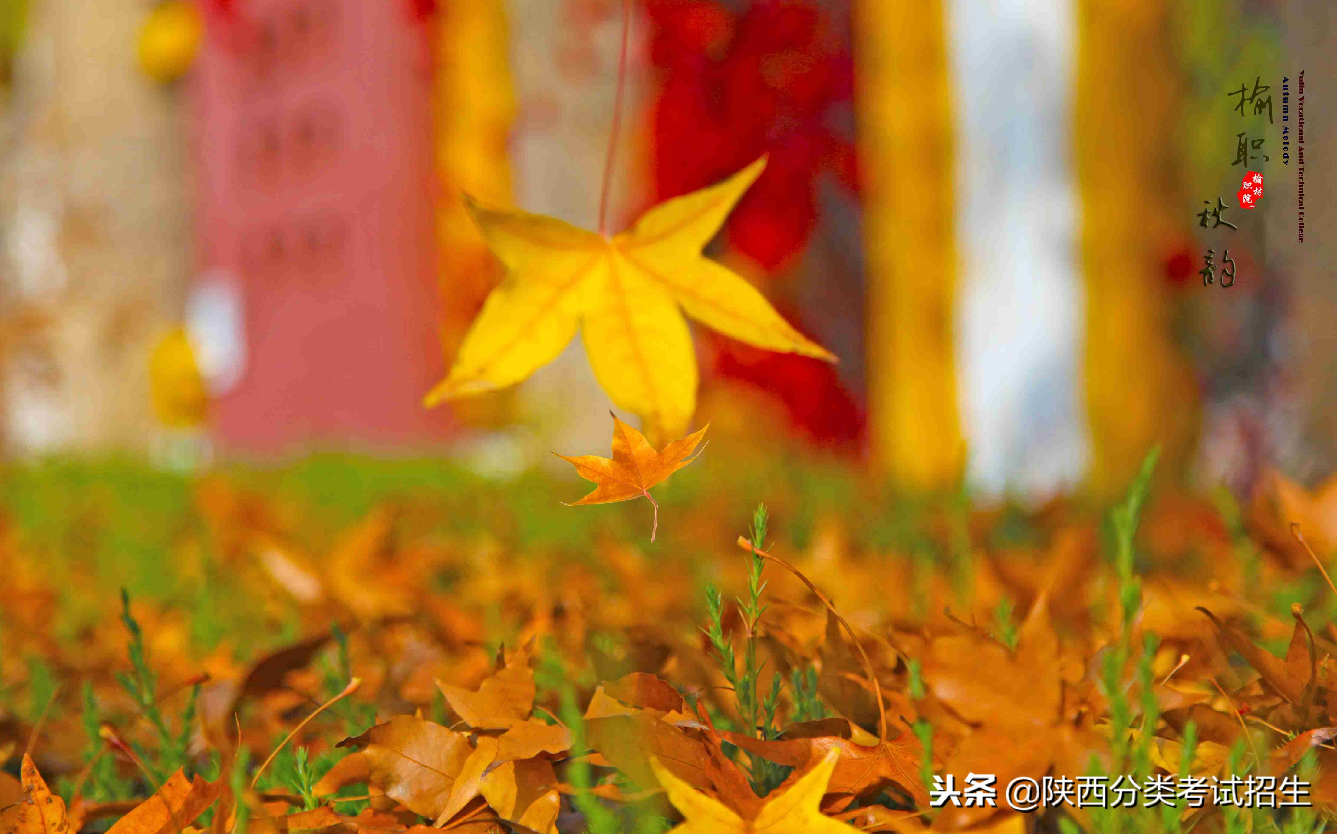 魅丽校园行之-榆林职业技术学院