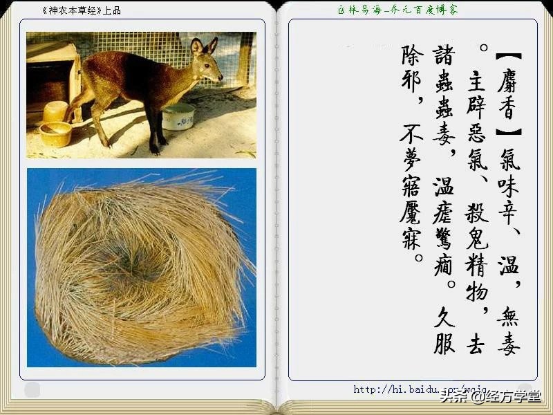 《神农本草经》全册图文解析 建议收藏