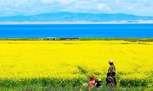 我国面积最大的湖泊(我国最大的青海湖只排世界第34位，但史上我国有大湖可排世界第一)