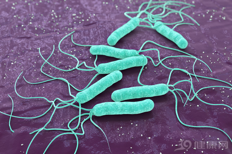 幽门螺杆菌最怕7种药物组合，坚持10天，可以把病菌根除