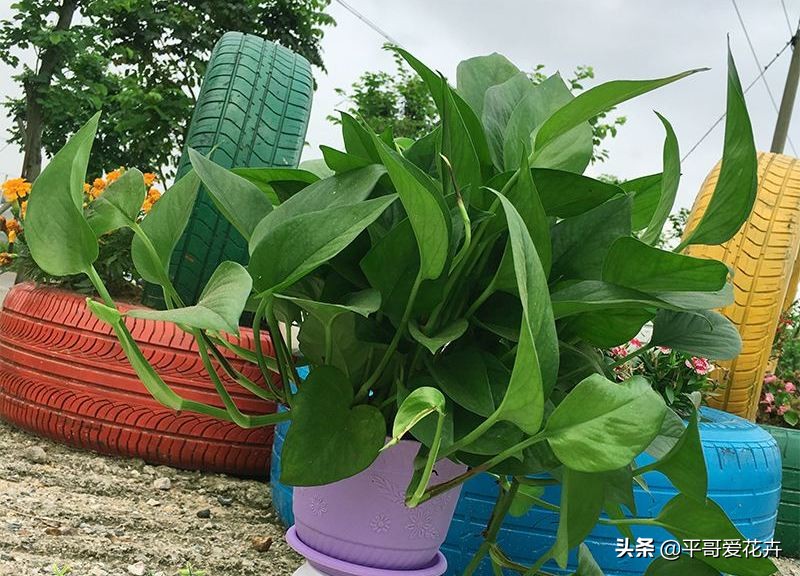 测试甲醛仪器多少钱正规42