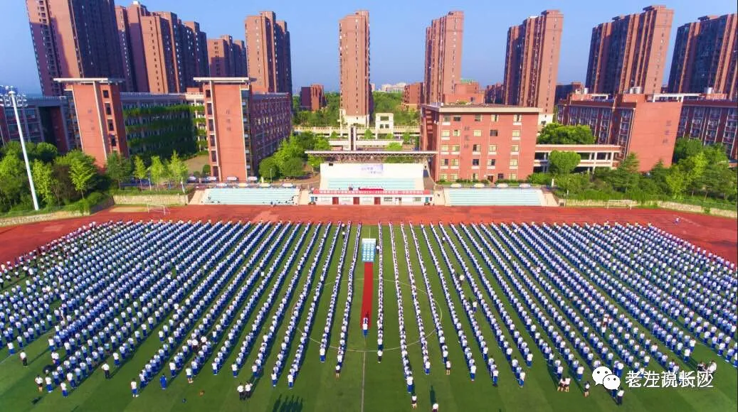 直升长沙四大名校高中本部，哪所初中更强？2020年数据公布