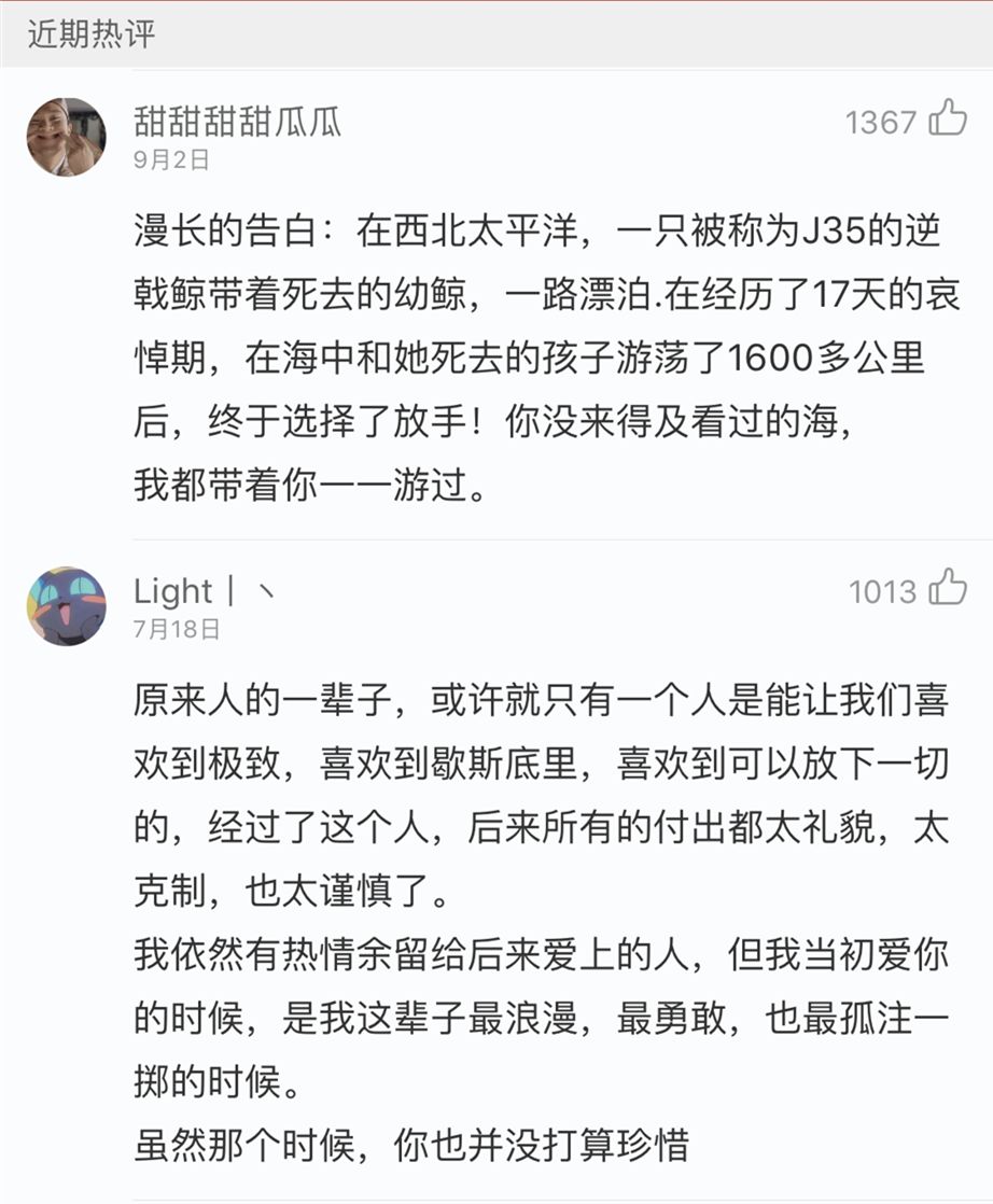 网易云九级要多少首歌（网易云9级需要多少首歌）-第9张图片-科灵网