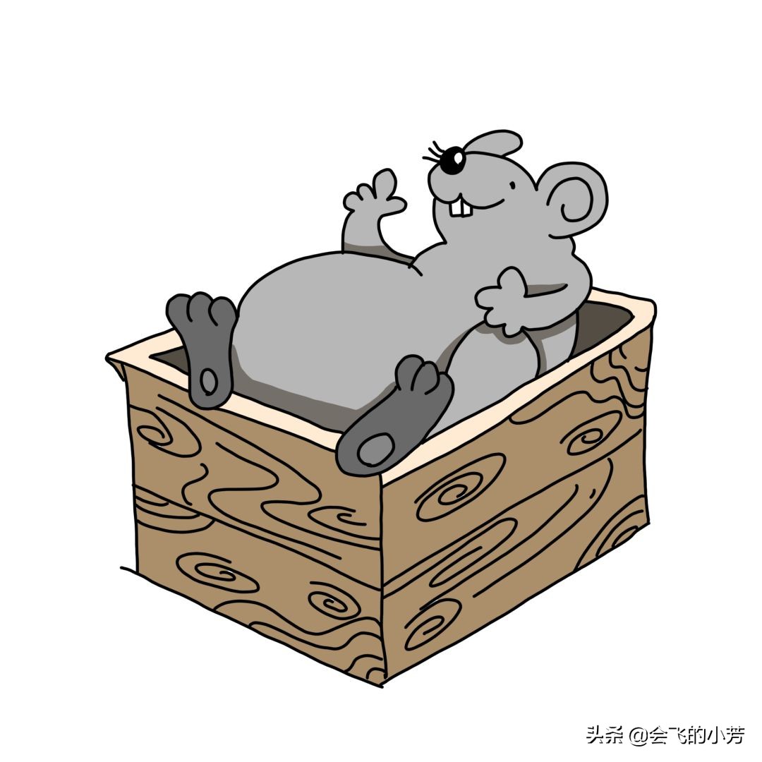 每日背诗 | 官仓鼠