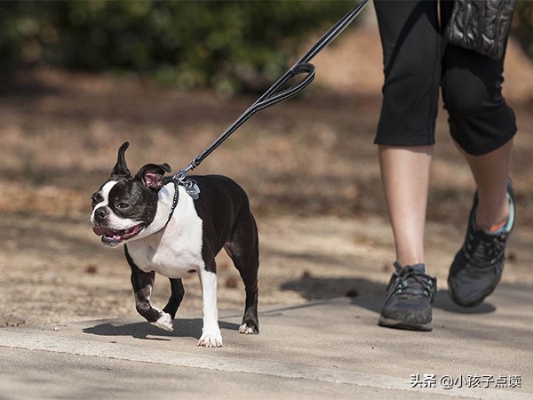 北京社_四年级英语上册单词列表、例句汇总
