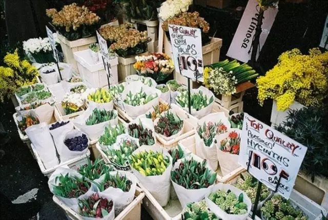 如何开一家赚钱的花店？
