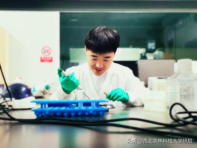 发表10篇一作SCI，助力地方发展，陕西这群“农业”研究生火了