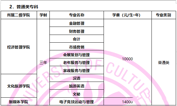 四川文化艺术学院发布2020年招生简章