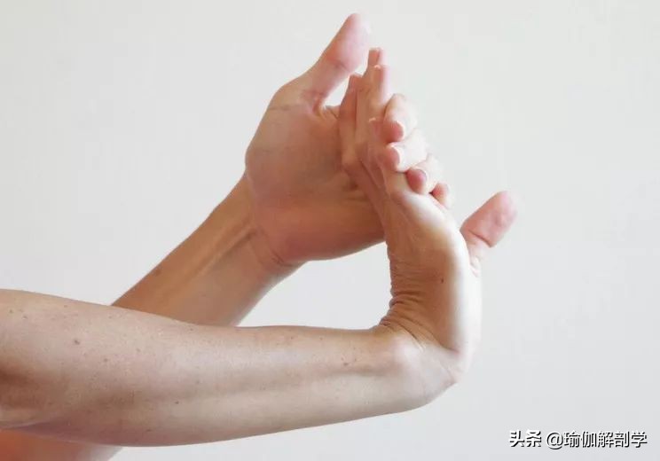 網(wǎng)球肘肩膀會(huì)疼么（練瑜伽，雙手&amp;手腕的練習(xí)，一定要常練）