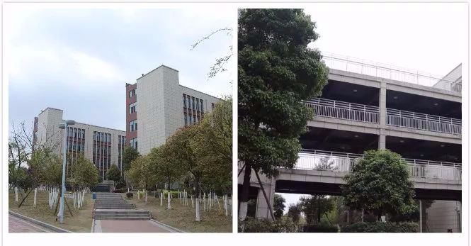 在绵阳，有一种教育叫“富乐”！富乐国际学校已成教育新贵