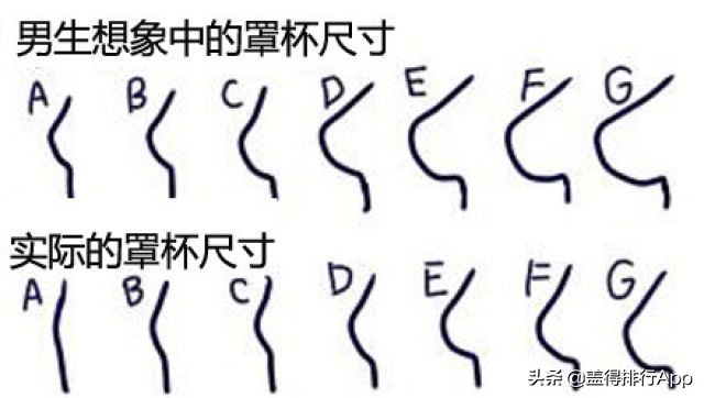 罩杯abcd怎么分大小 d杯有多大参照图-北京百科网