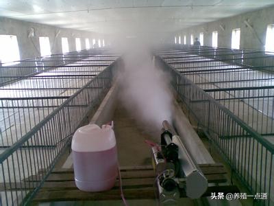 煙熏消毒,煙熏消毒有用嗎效果好不好