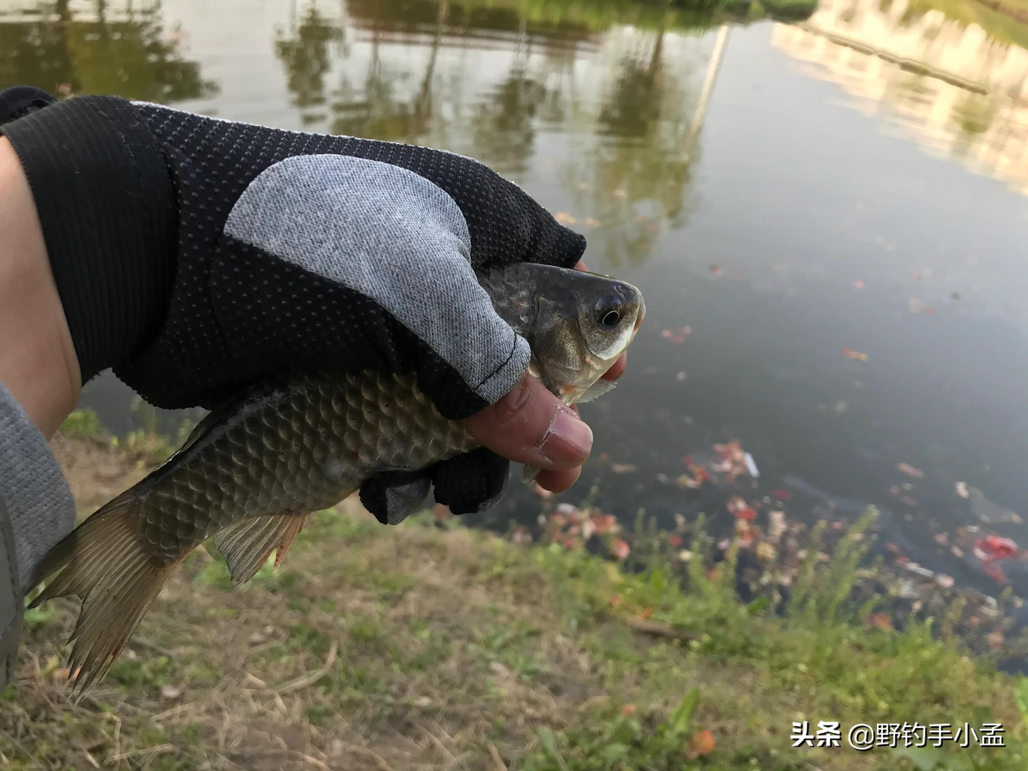 七星漂钓鱼技巧:[2]调漂方法