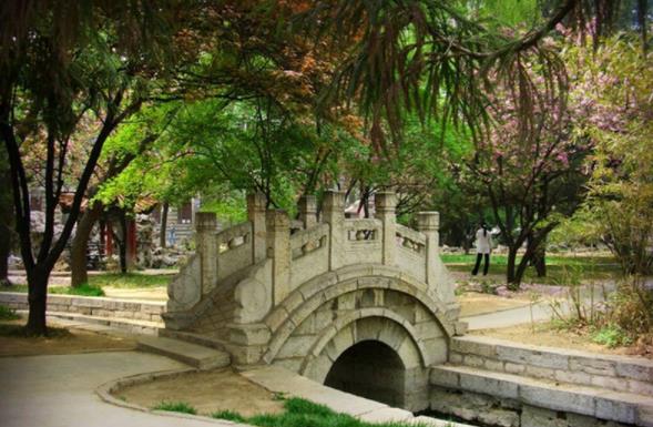 这所小县城里的师范大学，既非985也非211，却被称为“考研高校”