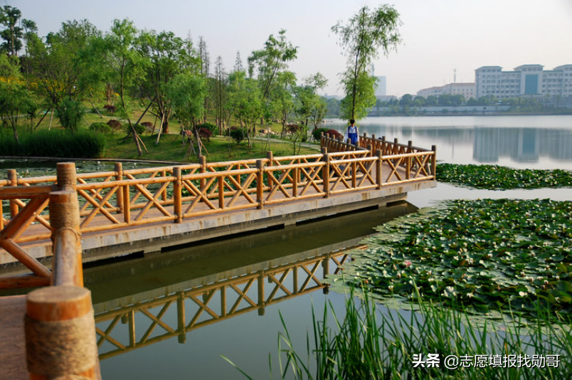 湖南师范大学在哪里「湖南师范大学在哪个街道」