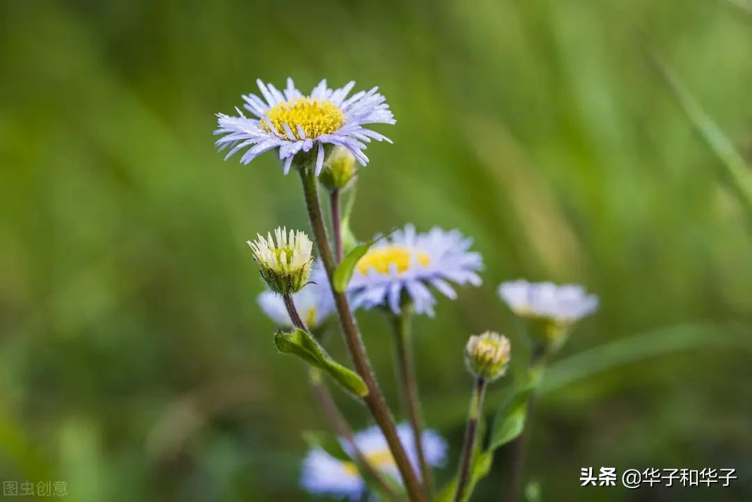 为啥说：婚姻中的“三无”女人，注定不会幸福，但也不会离婚？