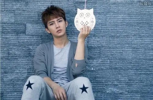 整容不仅是女人专利，不少男明星也走起整容的道路，你知道几位？