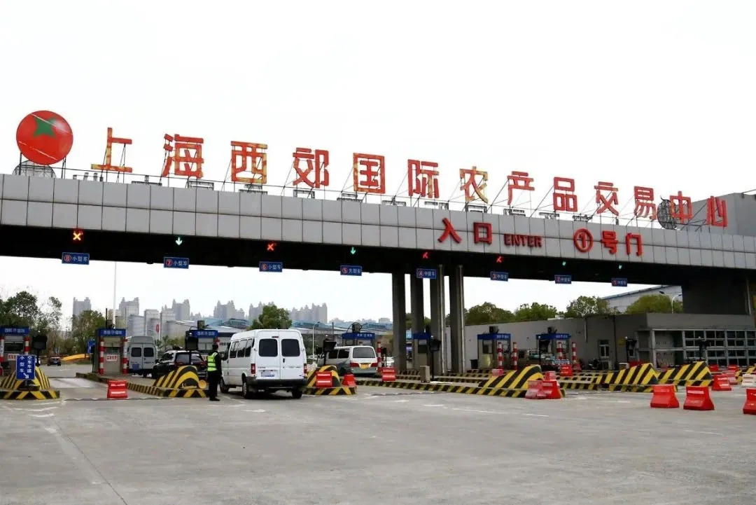 便宜到笑不动!上海隐藏的新鲜水果批发地!散户也能买!附扫货攻略